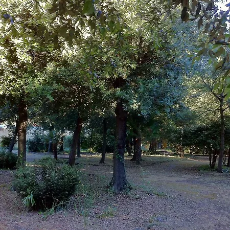 Farma Graziani
