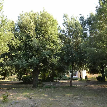 Farm stay Graziani Vada