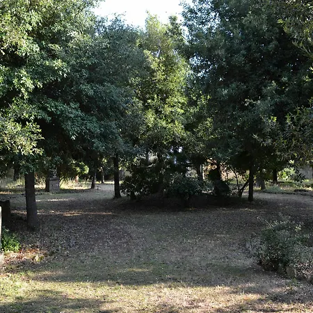 Graziani